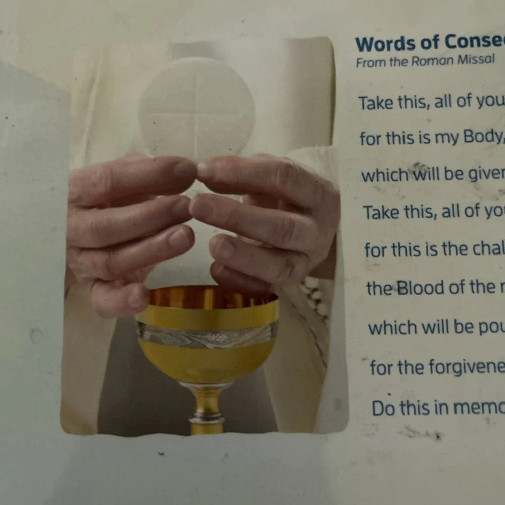 Signs of Grace : Preparing for First Holy Communion You Are Loved Student Guide